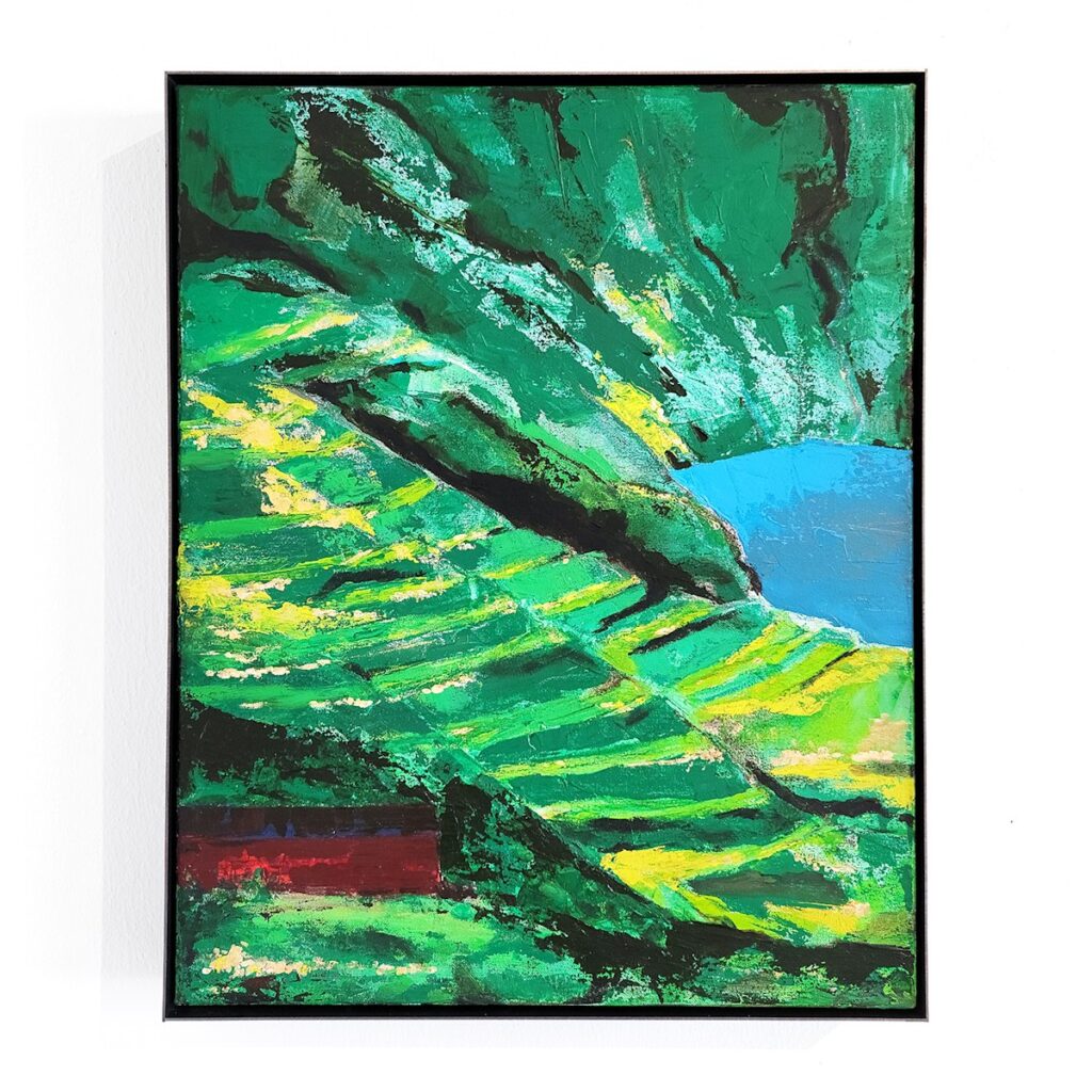 Rice Fields