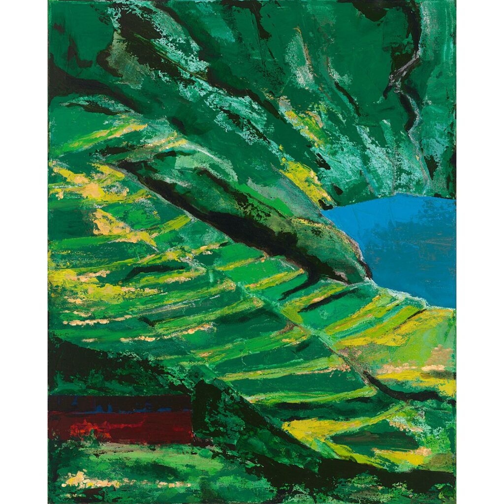 Rice Fields *