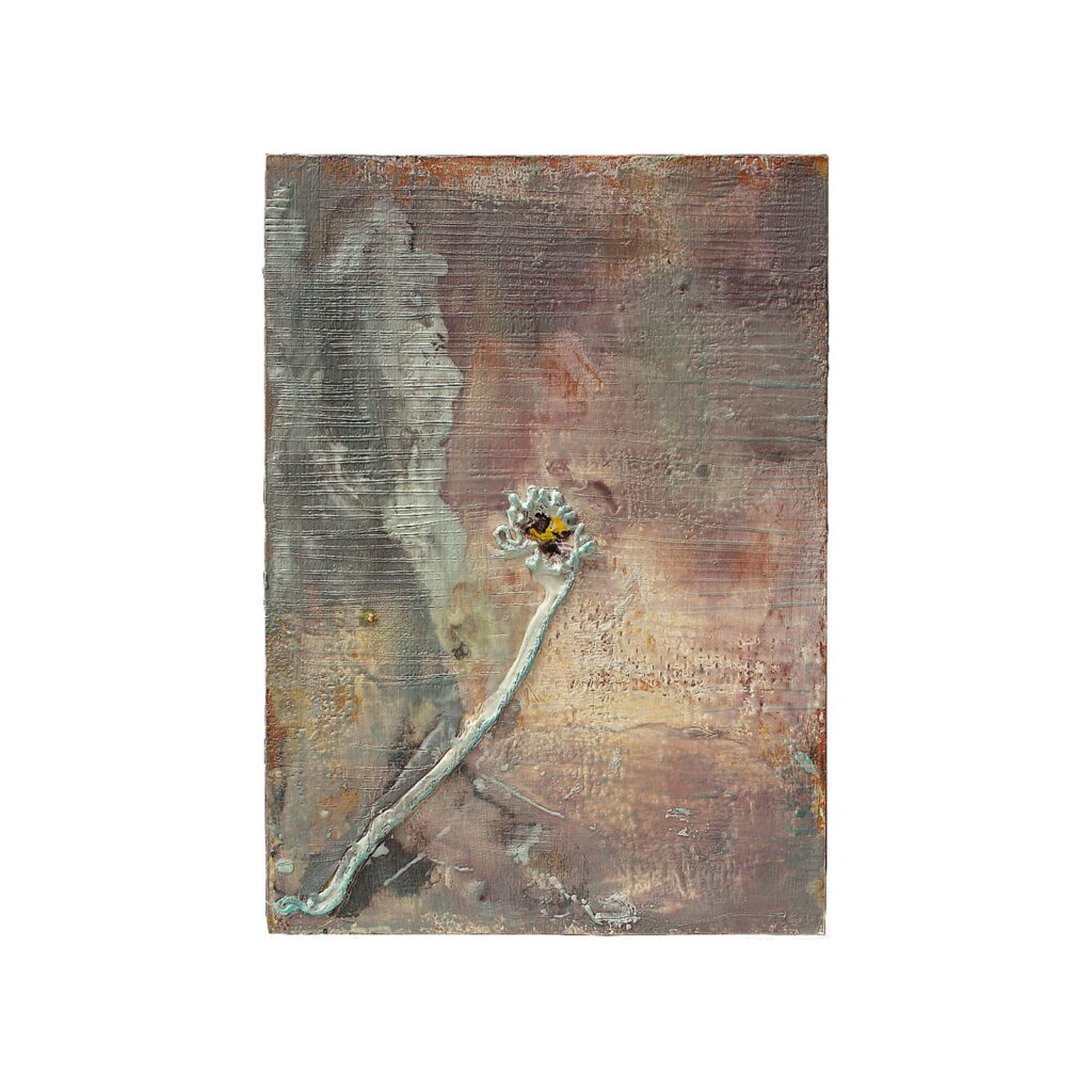 Bloom